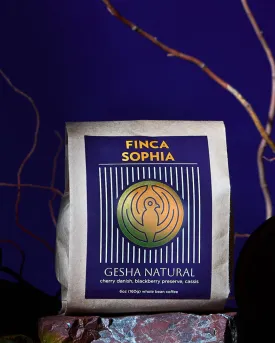 Panama Finca Sophia Gesha Natural