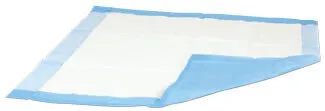 UltraBlok Disposable Underpads, Fluff Core, High Absorbency