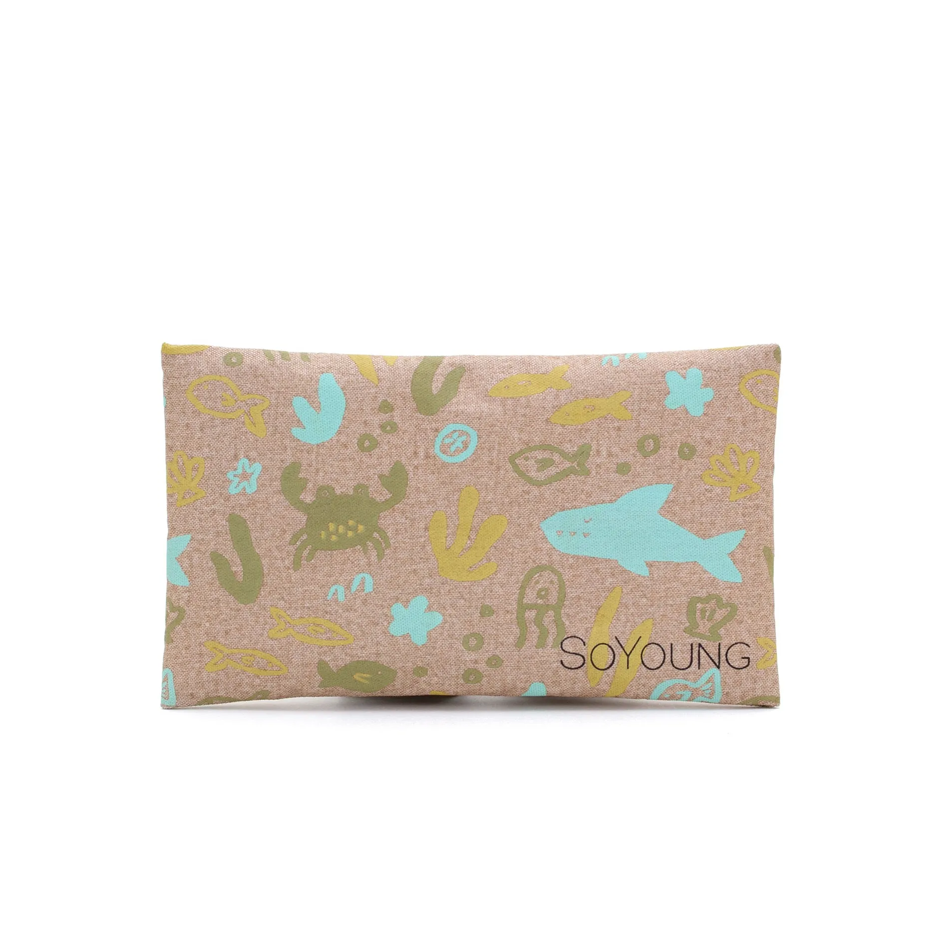 Under The Sea Ice Pack