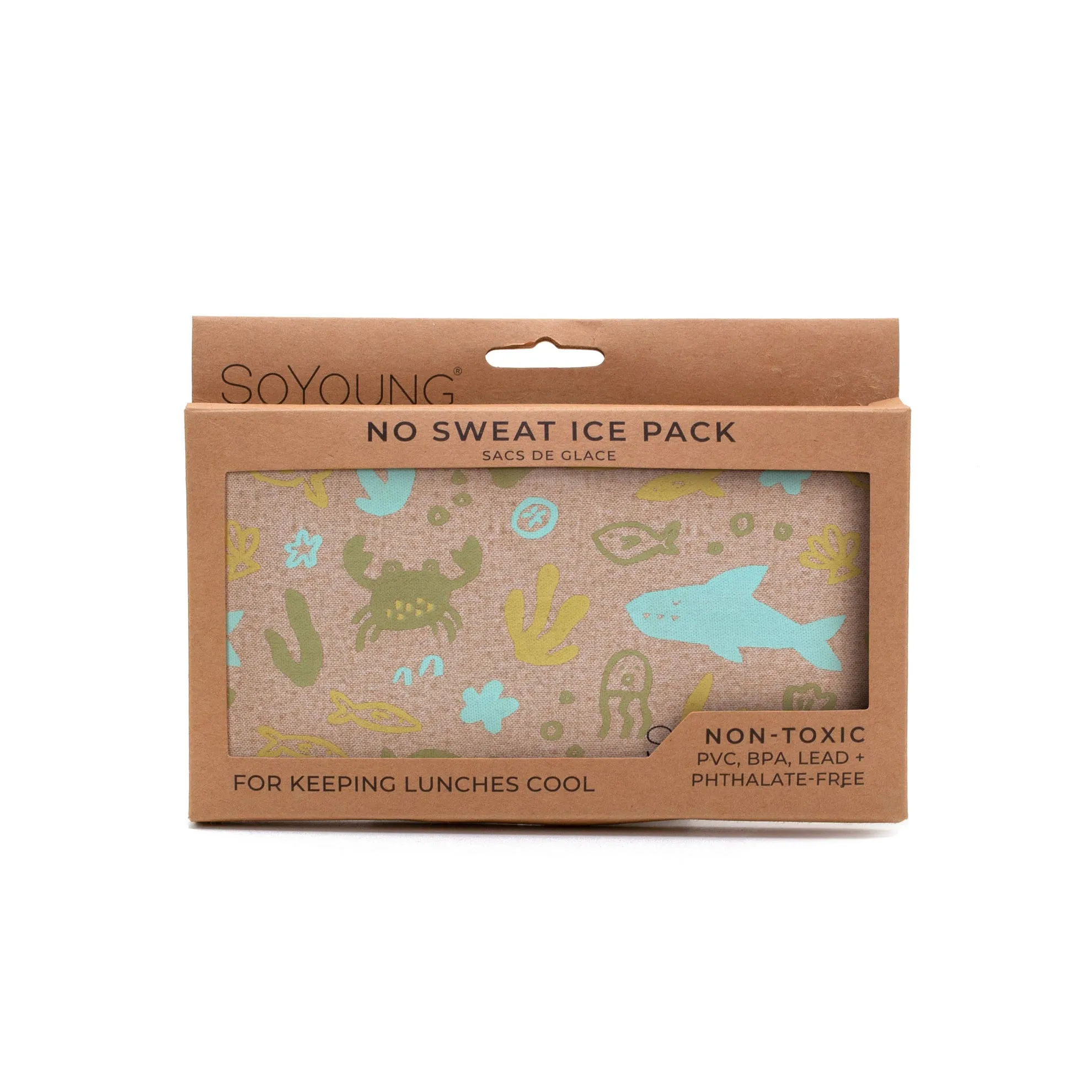 Under The Sea Ice Pack